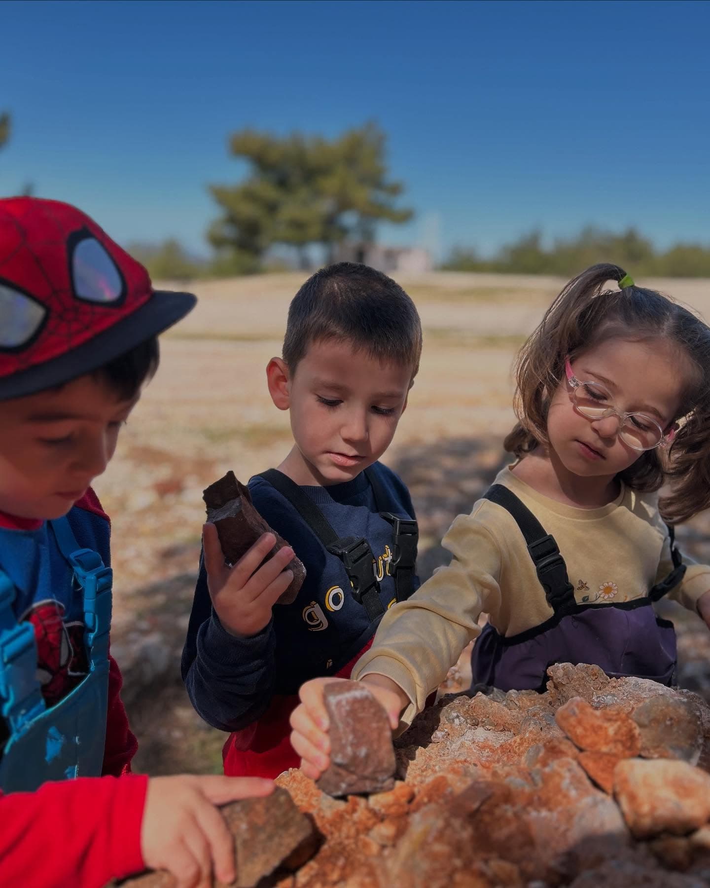 Orman albümü - Ormana gidip okul müdürümüz Erinç Uygar'ın şahsi tüketimi için çıntar topladık. Ne yemek, ne beslenme ne içecek bir şey vermediler.
